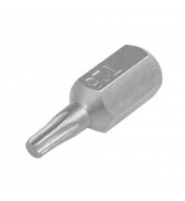 Вставка T25 10x30 мм Гамматест GT1Y027